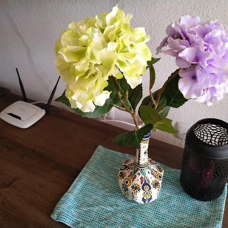 Apartamento Oriola אל קאמפיו